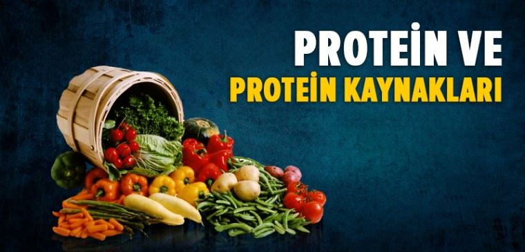 Kategori İçin Resim En İyi Protein Kaynakları ve Protein İçeren Besinler Nelerdir?